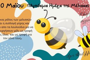 Η Παγκόσμια Ημέρα Μέλισσας